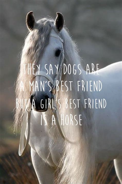 Horse quote Horses, Horse quotes, Mans best friend