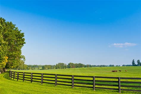 Country Scenery. Summer landscape. Photograph by Irina Moskalev - Fine ...