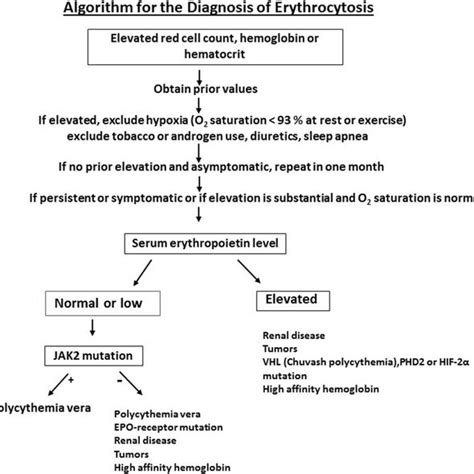 Algorithm for the diagnosis of erythrocytosis. | Download Scientific Diagram