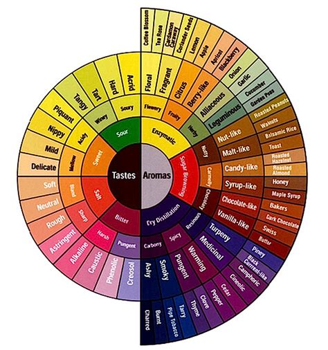 Printable Coffee Flavor Wheel