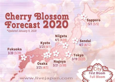 Japan Cherry Blossom 2024 Forecast: When & Where To See Sakura in Japan | LIVE JAPAN travel ...