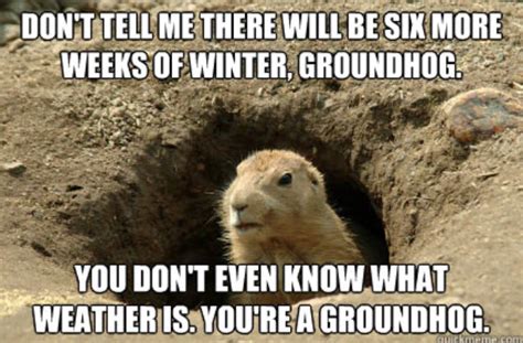 Funny Groundhog Day Memes You Can Laugh at No Matter the Forecast