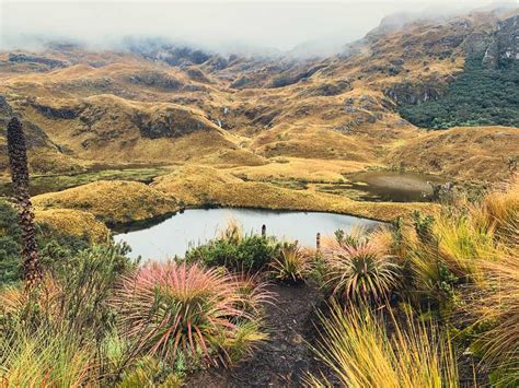 Visit The Otherworldly Cajas National Park | Spectacular Hiking In ...