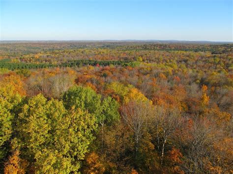 The Chequamegon-Nicolet National Forest: Implementing a Comprehensive ...