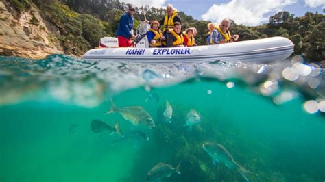 Cathedral Cove Boat Tour – Hahei Explorer Cathedral Cove Boat Tour