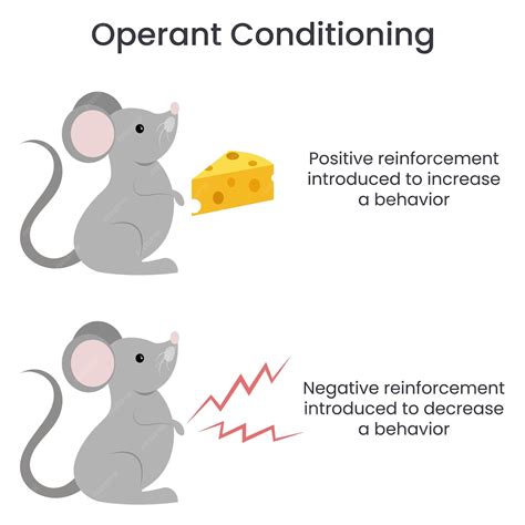 Premium Vector | Operant Conditioning educational vector illustration infographic