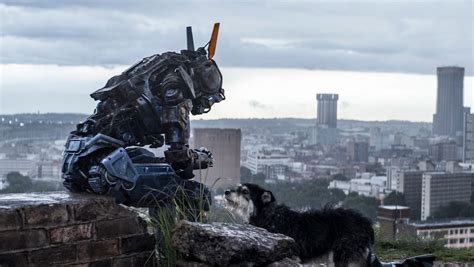 Chappie The Movie Review / Chappie 2 Will Never Happen - Here's Why ...