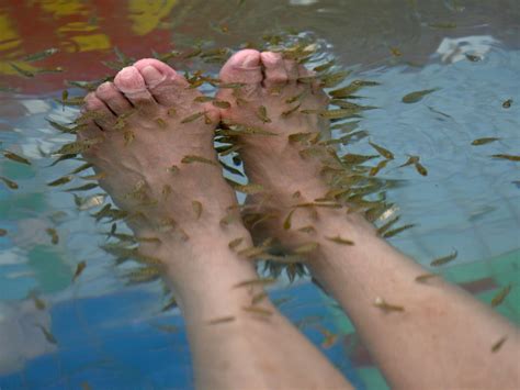 A woman's toenails started to fall off after she got a fish pedicure - Business Insider