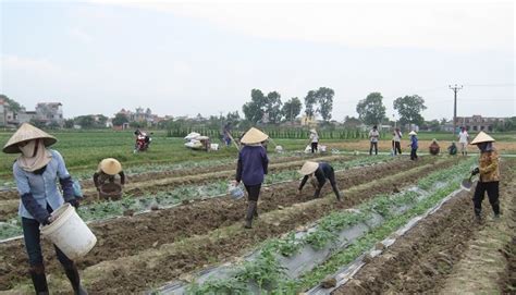 Pollution in agriculture gets increasingly high