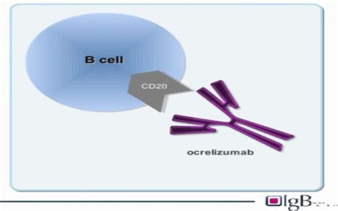 US FDA Approves Ocrelizumab (Ocrevus) for RRMS & PPMS