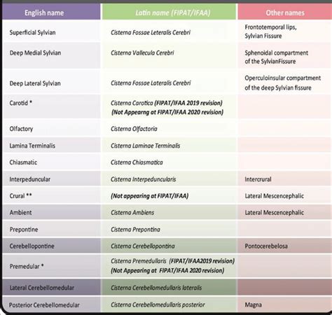 Surgical Neurology International