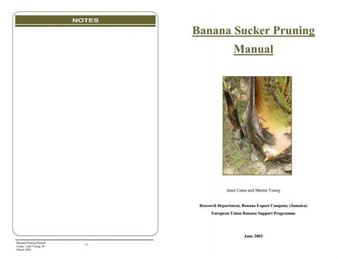 Banana Sucker Pruning Manual - The Banana Board