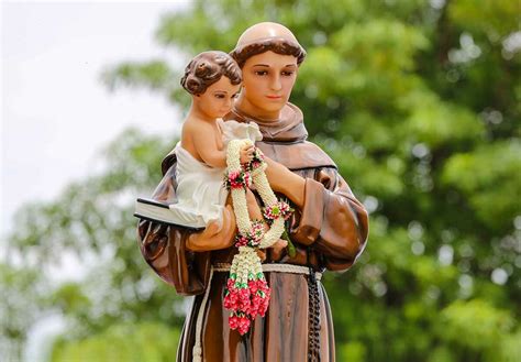 St Anthony Feast Day 2024 - Lucie Robenia