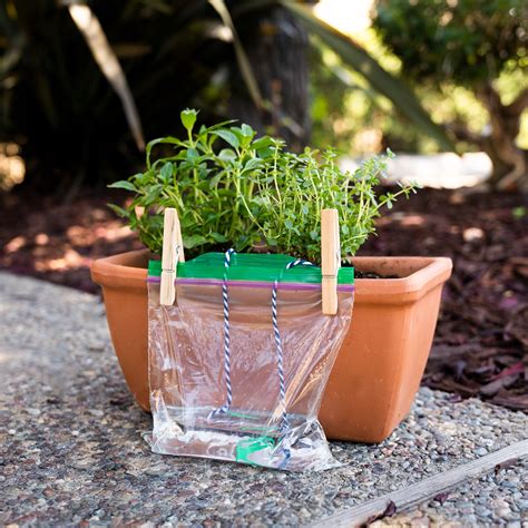 Self Watering Planter | DIY for Beginners | KiwiCo