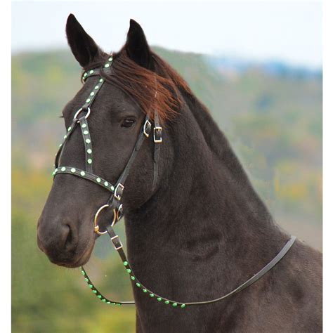 Get Medieval Baroque from Two Horse Tack At Best Price | Horses ...