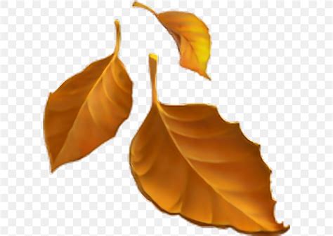 Emojipedia Autumn Leaf Color Autumn Leaf Color, PNG, 608x584px, Emoji ...