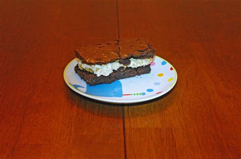 Marshmallow and Graham Cracker on brownie – Sandwich Portraits