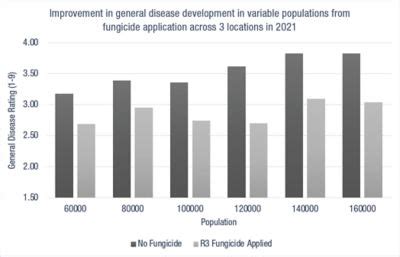 How Planting Rate and Fungicide Application Affect Yield and Agronomic Characteristics in ...