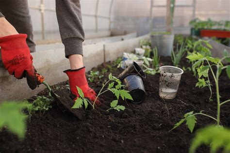 Soil Preparation For Vegetables - Flowers, and Herbs | Gardening Tips