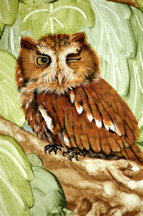 Winking Owl Art Print - Etsy Australia