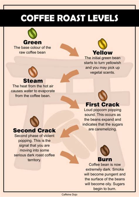 4 Types Of Coffee Roasts - What You Need To Know