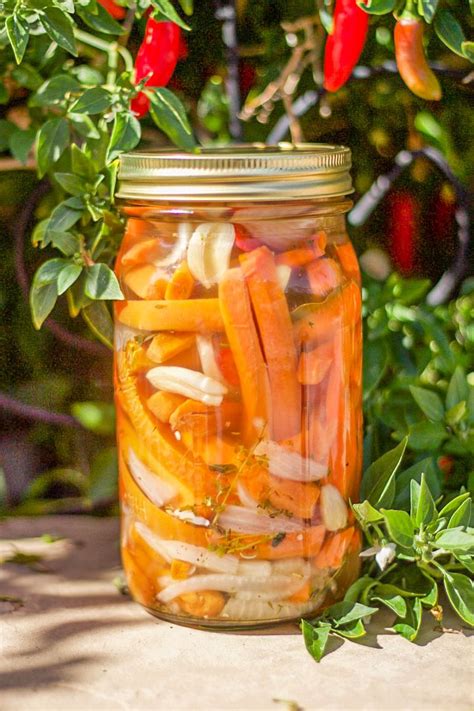 Mexican Pickled Carrots Easy Recipe | Hilda's Kitchen Blog