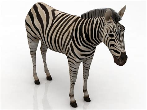 Zebra 3D - TurboSquid 1774098