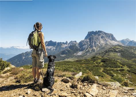 Hiking With Dogs: A Guide to Safely Taking a Hike With Your Dog – Dogster