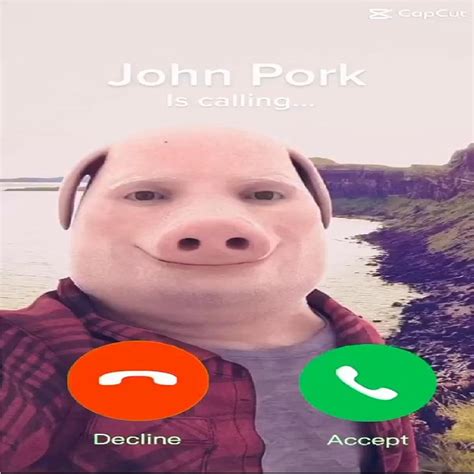 ‎John Pork is Calling ... - Single - Álbum de dontcarewontcare - Apple Music