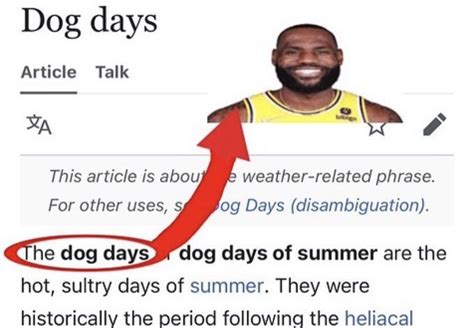 LeBron James the Dog Days (meme) | LeBron James Name Lookalikes | Know ...