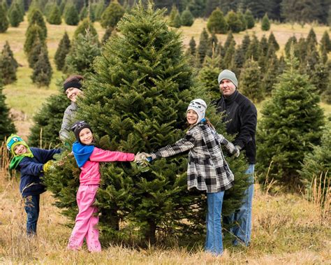 Twelve Tips for Visiting a Christmas Tree Farm - The Cleland Clan