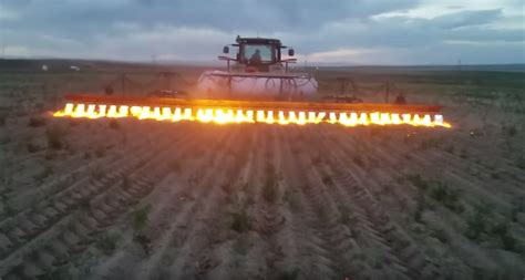 Watch how organic farmers use tractor-mounted flamethrowers on weeds and pests - Boing Boing