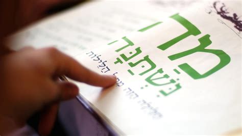 How To Choose a Passover Haggadah | My Jewish Learning