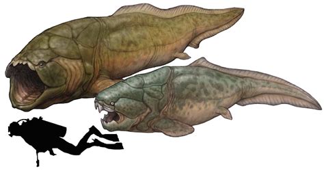 Prehistoric taxonomie | Titanichthys agassizi (“giant fish ...