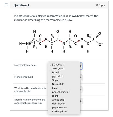 Solved The structure of a biological macromolecule is shown | Chegg.com