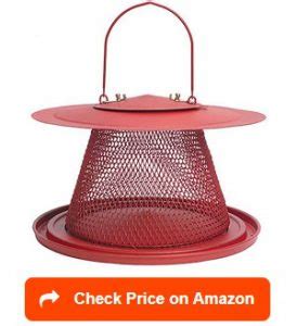 Top 10 Best Bird Feeders for Cardinals Reviewed and Rated in 2024