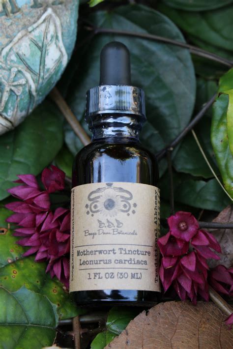 Motherwort Tincture – Boogie Down Botanicals