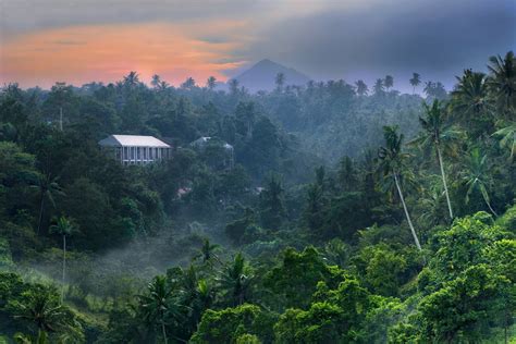 White building on dense forest digital wallpaper, nature, landscape ...