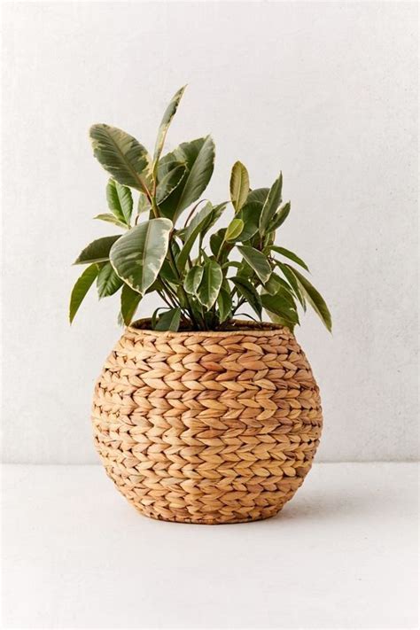 Wyn Woven Planter Basket | House plants decor, Plant decor, Plants