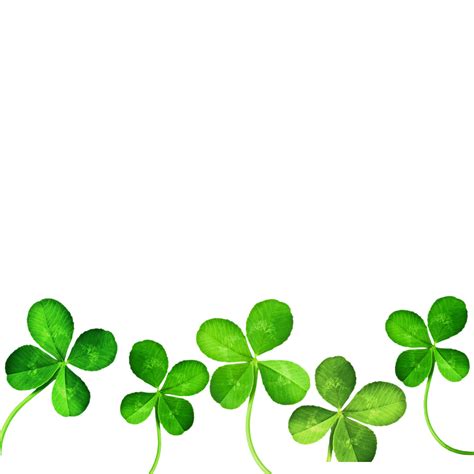 Four-leaf clover Clip art - Clover png download - 1024*1024 - Free ...