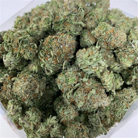 Buy Pink Kush Bulk In Bulk Online In Canada - Pacific Grass