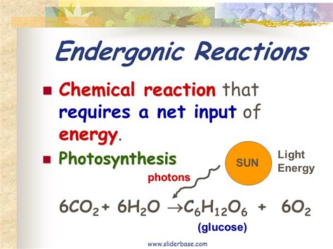 Bioenergetics - Presentation Biology