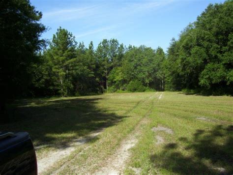 hunting-land-for-sale-in-south-georgia-2 - Agri Land Realty, LLC.