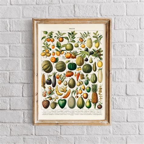 Fruits Wall Art Watercolor Fruit Art Fruit Print Botanical | Etsy