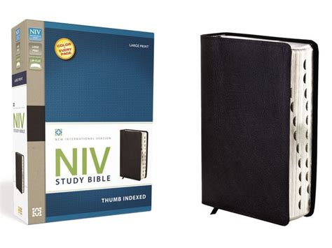 Study Bible-NIV-Large Print by Zondervan, Hardcover | Barnes & Noble®