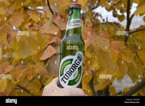 Bottle tuborg beer hi-res stock photography and images - Alamy