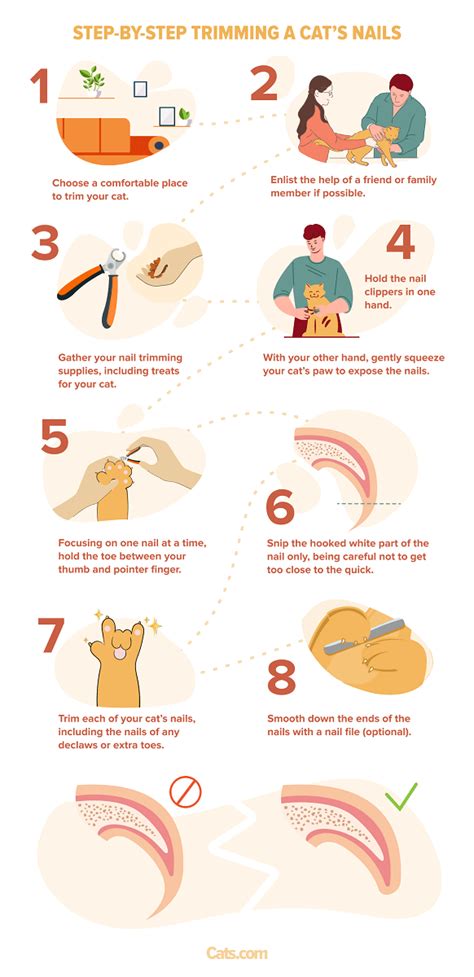 How To Safely Trim Cat Nails - A Step By Step Guide - Cats.com