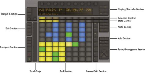 Ableton Push in Action - Music Technology Student