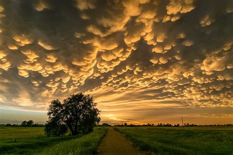 Las nubes más originales del cielo (y cómo identificarlas)