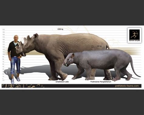 Uintatherium | Extinct animals, Prehistoric animals, Prehistoric creatures